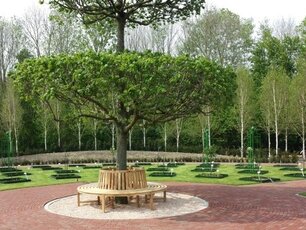 Teak-Sitzbank 220 cm rund