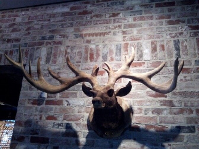 Hirschkopf mit Geweih aus Holz XL