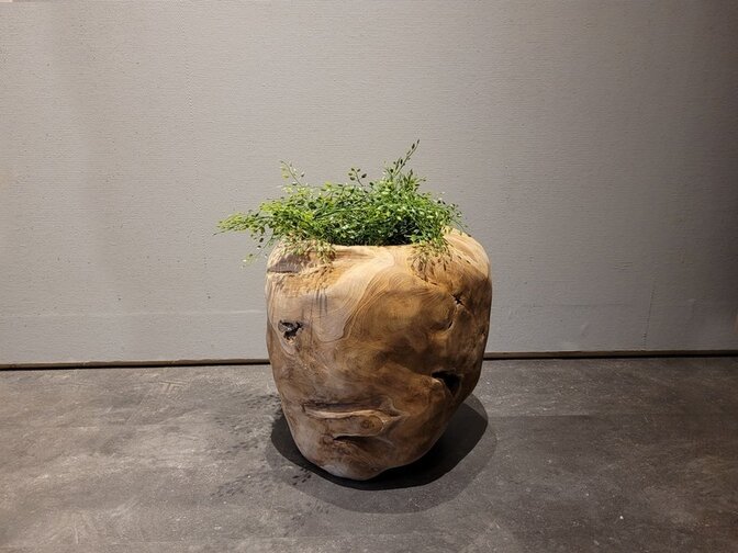 Teak wortelhout vaas - 30x30x40cm