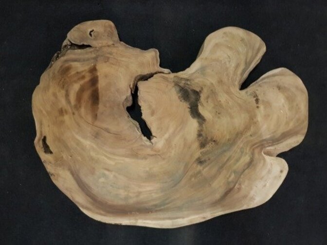 Runde Baumstammtischplatte  Ø 135/180 cm KCA49-618