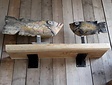 Suar-Bücherregal 35x120 cm ohne Stützen