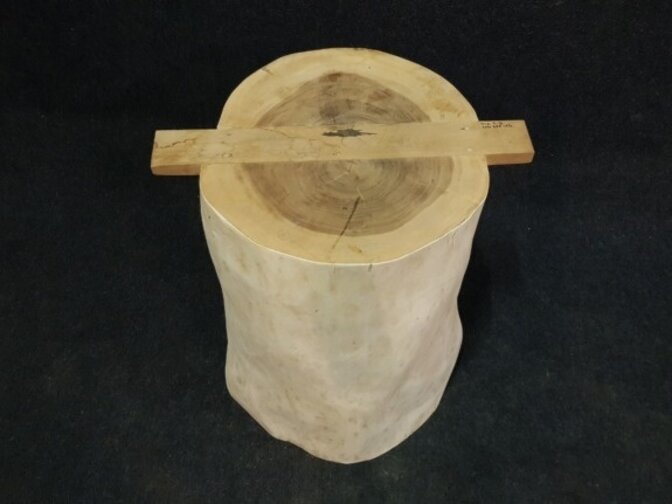 Boomstam bartafel poot - massief