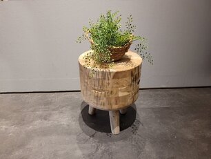 Holzschemel – Hartholz