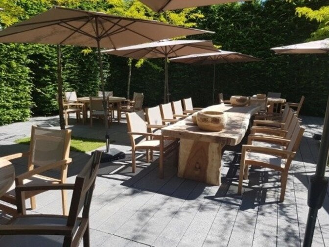 Suar-Baumstamm-Tisch 480 cm