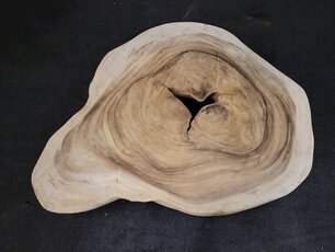 Suar-Baumstammtischplatte155/175 cm CA31-2224