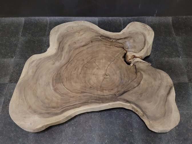 Runde Suar-Baumstammtischplatte 115/180 cm CA23-323