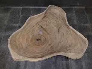 Suar-Baumstammtischplatte  145/170 cm CA20-323