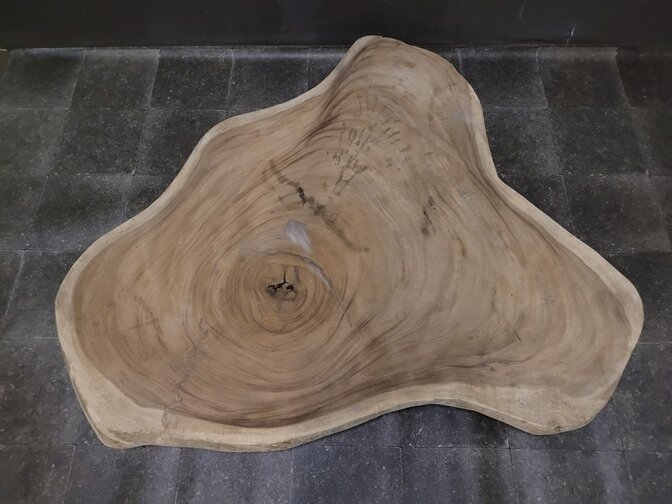 Suar-Baumstammtischplatte 145/170 cm CA20-323