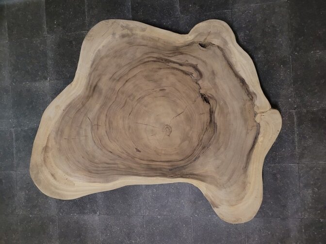 Runde Suar-Baumstammtischplatte  120/160 cm CA281-323