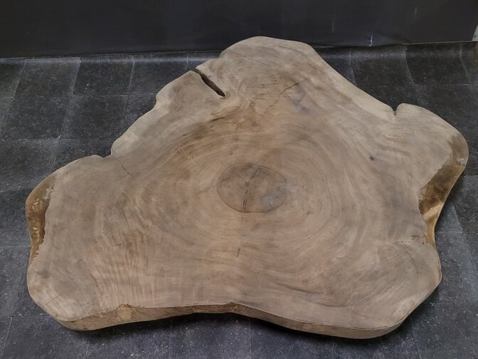 Suar-Baumstammtischplatte 160/180 cm CA02-323