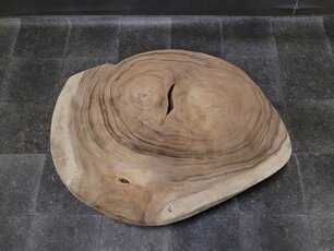 Runde Baumstammtischplatte 95/115 cm CA041-323