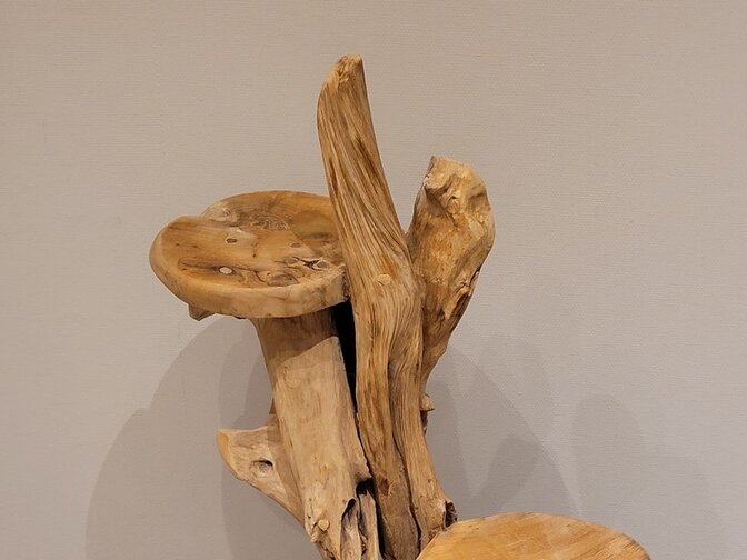 Etagere aus rustikalem Teak-Wurzelholz – 100 cm