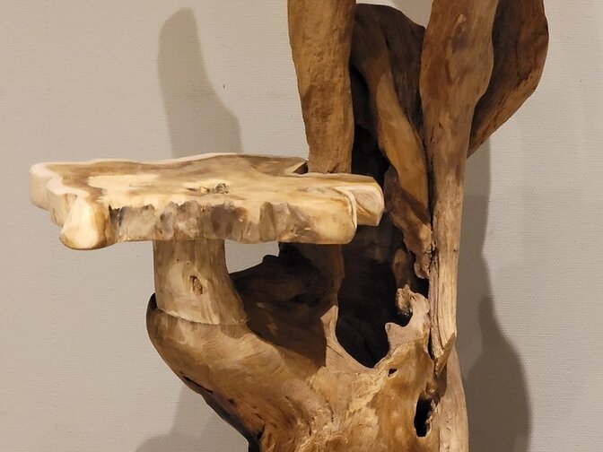 Etagere aus rustikalem Teak-Wurzelholz – 150 cm