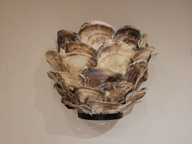 Wandlampe mit Austernschalen