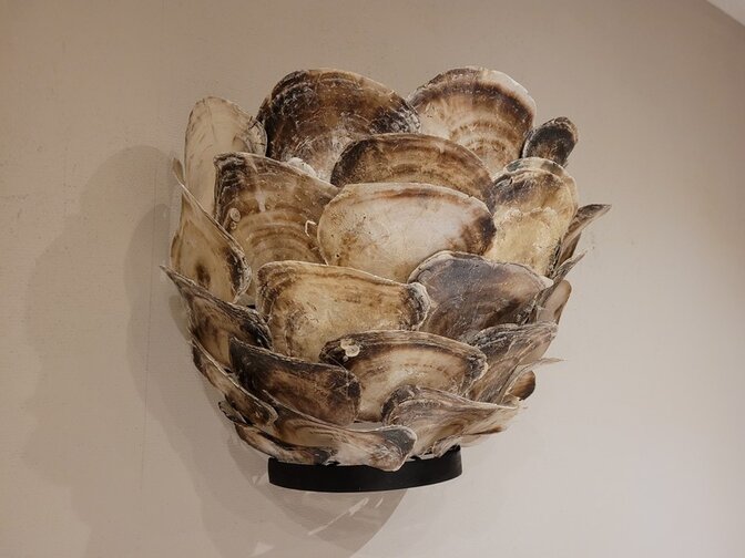 Wandlampe mit Austernschalen