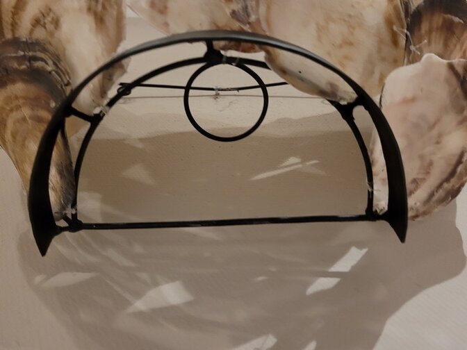 Wandlampe mit Austernschalen