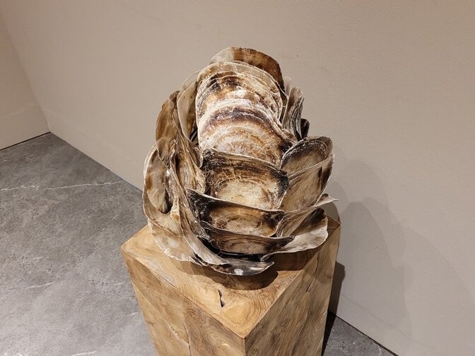 Tischlampenschirm mit Austernschalen – 30 x 40 cm