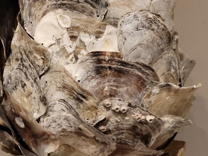 Tischlampenschirm mit Austernschalen – 30 x 40 cm