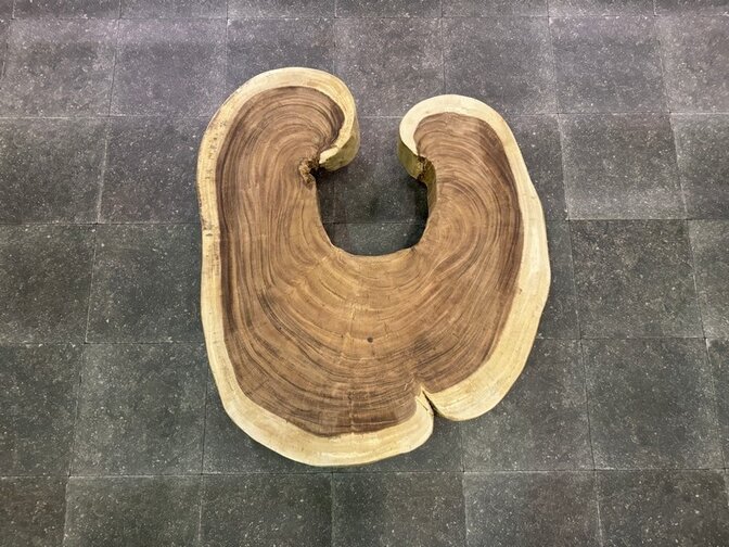 Runde Baumstamm-Tischplatte 80/100 cm AS02-923
