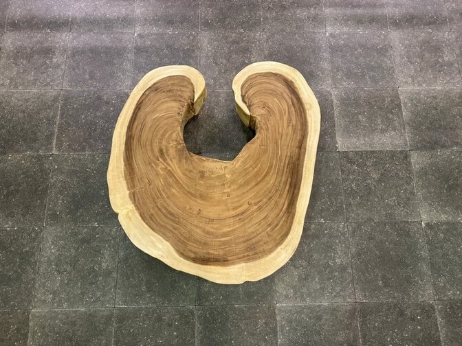Runde Baumstamm-Tischplatte 80/95 cm - AS04-923