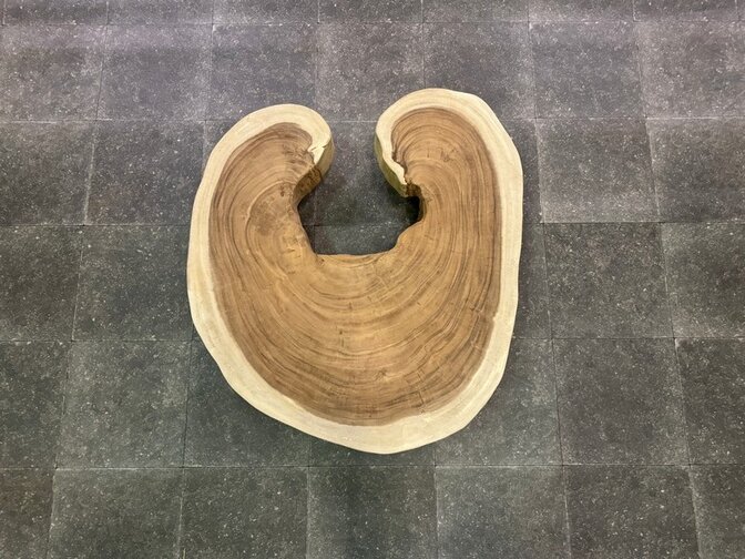 Runde Baumstamm-Tischplatte 80/90 cm - AS05-923