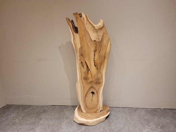 Suar-Skulptur 50 x 140 x 35 cm – AG2404-02