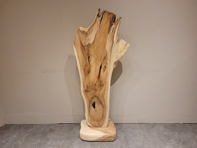 Suar-Skulptur 60 x 150 x 35 cm – AG2404-03