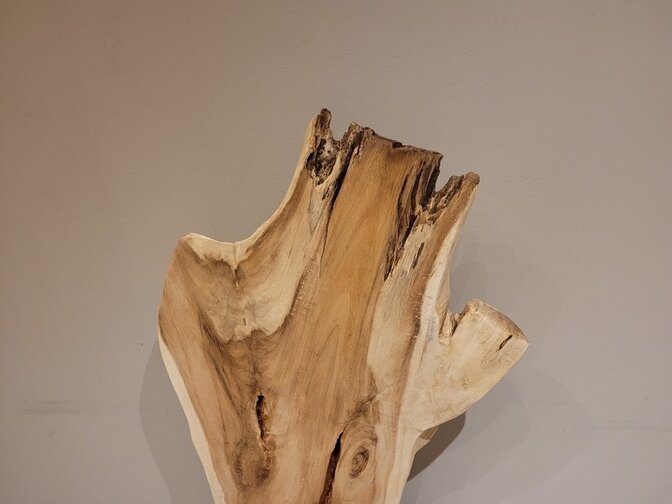 Suar-Skulptur 60 x 150 x 35 cm – AG2404-03