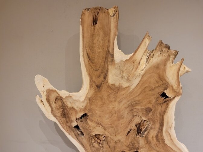 Suar-Skulptur 110 x 190 x 35 cm – AG2404-04