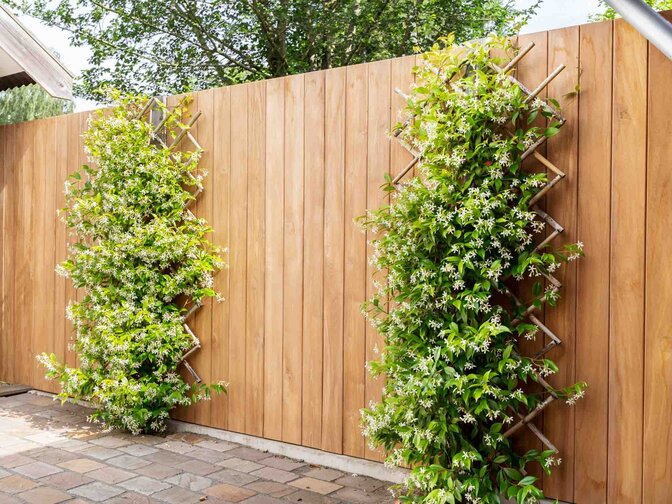 Teak-Gartensichtschutz – Zaun 180 x 180 cm