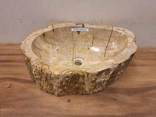Waschbecken aus versteinertem Holz - 50x35x15 cm - FL22704
