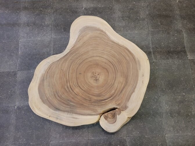 Baumstamm-Tischplatte rund 105/110x7cm AG01-924