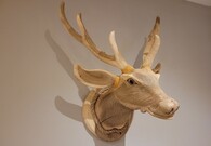 Tierköpfe aus Holz 
