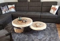 Baumstamm Couchtisch