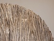 Runde Holz Dekoscheibe auf Ständer – 120 x 140 cm