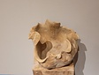 Teakholzvase – naturbelassen – 35 x 35 cm