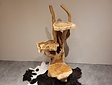 Etagere aus rustikalem Teak-Wurzelholz – 150 cm