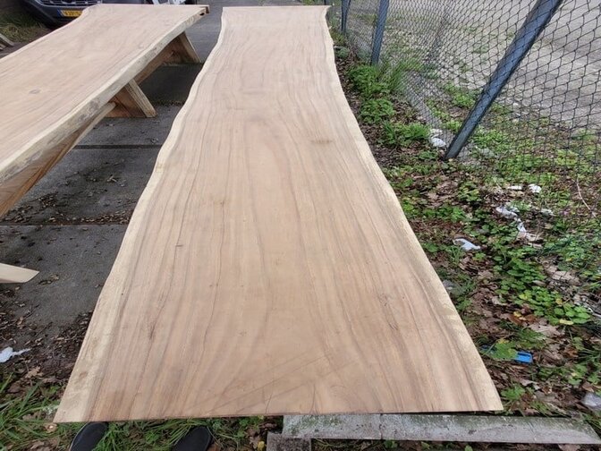 Suar-Baumstamm-Tisch 90/130x650 cm - 2256-01
