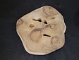 Suar-Baumstammtischplatte -Tisch 155/180 cm CA74-2224
