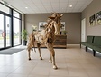 Große Pferd-Holzskulptur aus Treibholz 250 cm
