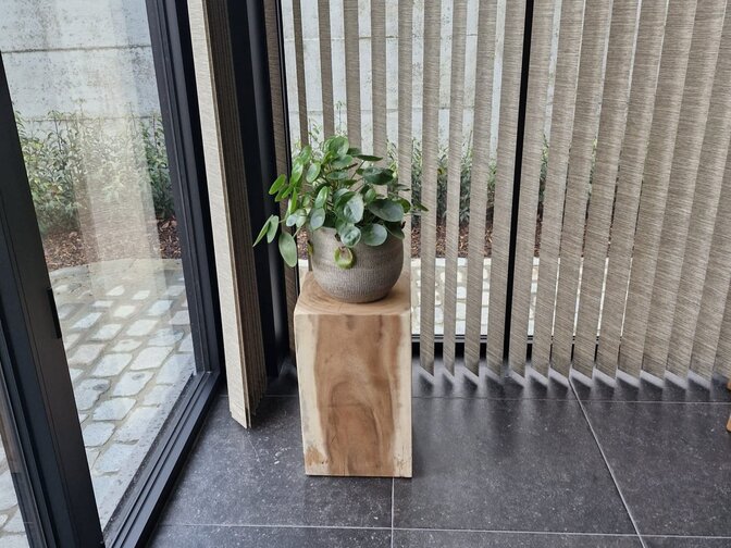 Suar Holzblock 3 30x30x50cm