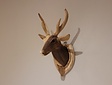 Hirschkopf mit Geweih aus Holz XS