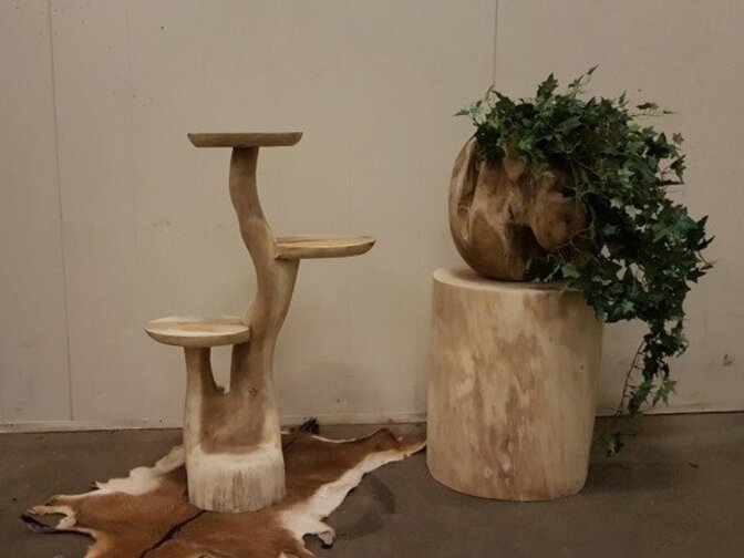 Etagere aus Suar-Holz 60 cm