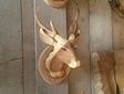 Hirschkopf mit Geweih aus Holz S