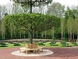 Teak-Sitzbank 220 cm rund