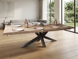 Teak-Baumstamm-Tisch für den Innenbereich 95x240cm