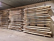 Robuster Baumstamm-Tisch 250 cm