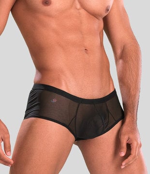 Joe Snyder Bulge Boxer Mesh 03 Transparant Zwart (055)