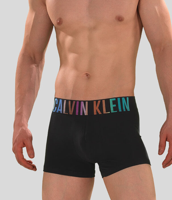 Calvin Klein Trunk NB3939A Intense Power Schwarz