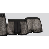 Hom Boxer Brief Temptation 752 Jon Transparant Zwart (055)